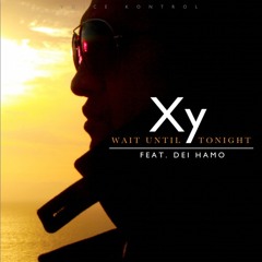Wait Until Tonight - Xy Latu ft D.Burn/Dei Hamo (OFFICIAL REMIX)