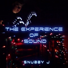 The Experience of Sound