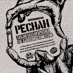 Death Does Not Mean The End - SARJAN HASSAN