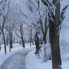 Prosper Rek - Hitcast December 2012