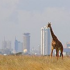 12.12.28.mziki.wa.kwetu