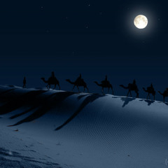 Sahara Nights