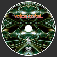08 FUNGUS FUNK - strange dreams