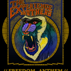 The Experience Brothers - Freedom Anthem (2012)