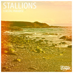 Stallions  – We Are Stallions
