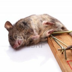 Dead mouse - Aural Psynapse (Remix)