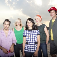 The Julie Ruin - "Girls Like Us" (Vag Vocal Version)