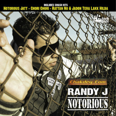 Notorious Jatt (feat. P. Gill)-Randy J