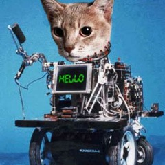 Cat Bump & Bongobots [disquiet0052-bumpcc]