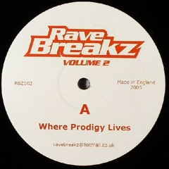 Rave breakz vol 2 - where prodigy lives 2005 - FREE DOWNLOAD