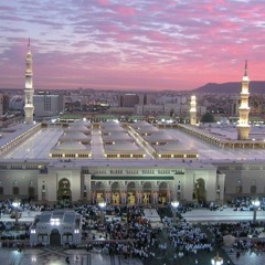 Taiba ke Jaane walay By Shoaib Alam Rehmani