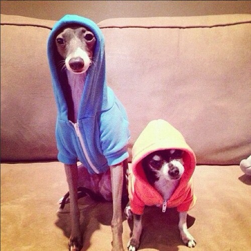 Atlas&Peabody - Thrive *Now Free DL*