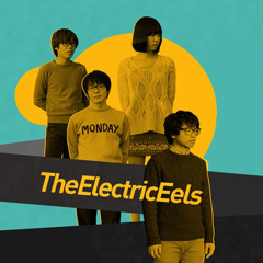 전기뱀장어 (theelectriceels) - Say It Ain't So (Weezer Cover)