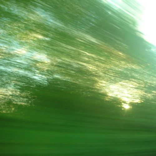 Shine (test)