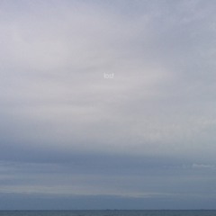 Fin