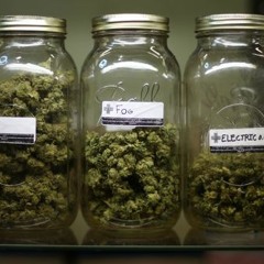 Dank-Murdock Da G-Fly Laflare-Free Money Sap