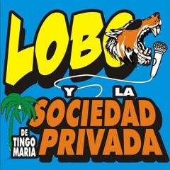 Sin Ti No Puedo Vivir - Sociedad Privada