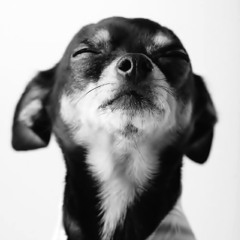 Avalanche City   Sunset