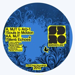 MJT - Silent echoes