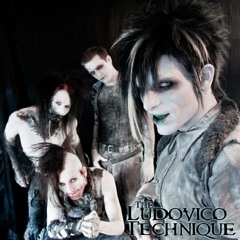 The Ludovico Technique - This Life (remix by Steven Canham)