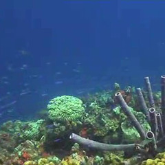 Underwater (Piano Theme)