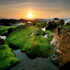 Bread x Doesn't Exist