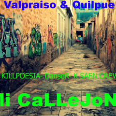MI CALLEJON (PMC KILLPOESIA DANSER K SAEN CREW) 2013  BeaT ERK