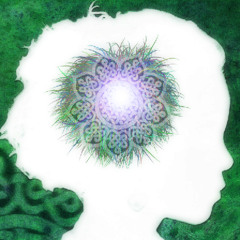 [dr] STRANGELOOP : EVERYTHING IS ALIVE  [wandering beatscapes lo-fi mini-mix]