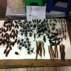 Probinsyana - Bamboo