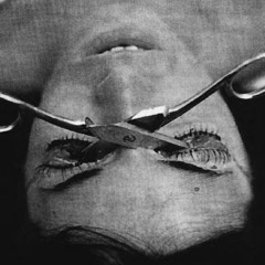 Nekromantik - Pibehawk