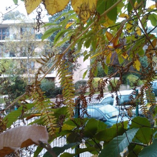 Old school Hardtrance 1993-1994 tape : face A