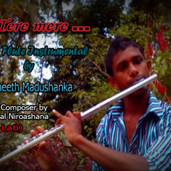 Tere mere Flute Instrumental By Praneeth Madushanka-(Music Composer By Himal Niroshana)