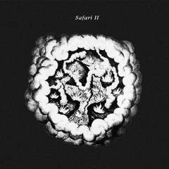 Safari II