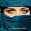 Arabic House Mix 2013 Djmregel