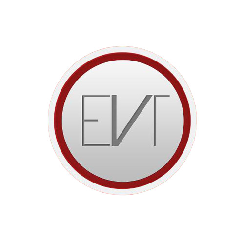 Ian&Tyana -Lady (ErikVan Tools Remix)