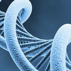 The Architect - Gnosis (Original Mix)