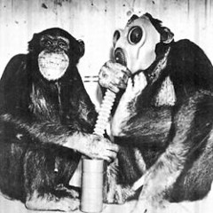 VA - Chillled Chimps