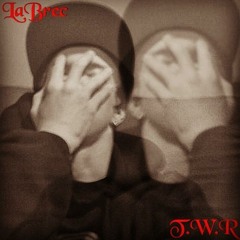 Thoughts Of A Madman