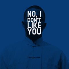 No, I Don't Like You [ijustthoughtyouwerecoolenoughtokickit]
