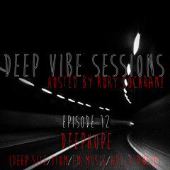 DE Radio // Deep Vibe Sessions 2012/2013