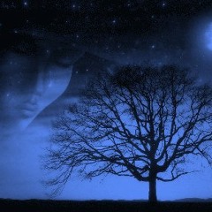 Noches frias - Buda Slimer Poseq PH