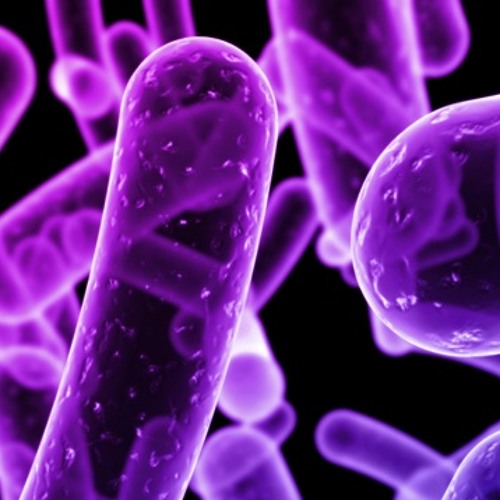 Una Luna de miel en la mano Virus