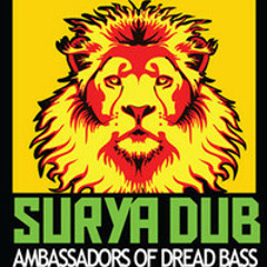 Surya Dub Radio - Best of 2012 Mix