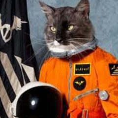 Killer Kats From Outer Space