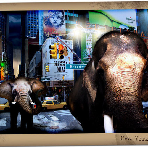 Elephants of New York