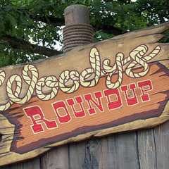 Woody's Roundup