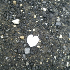 Küldj végre békét