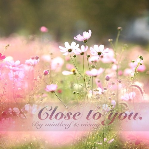 Close to you by Mintleaf & Viewy