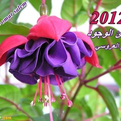 بارئ الوجود ( أكرم العروسي ) 2012