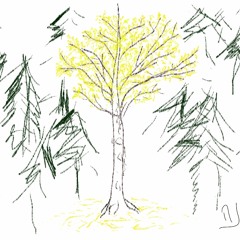 3 little birds (Bob Marley)